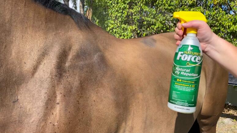 horse fly spray