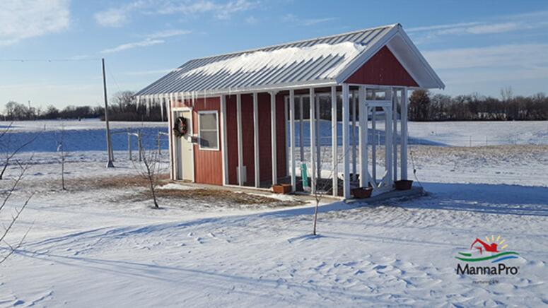 winter chicken coop prep