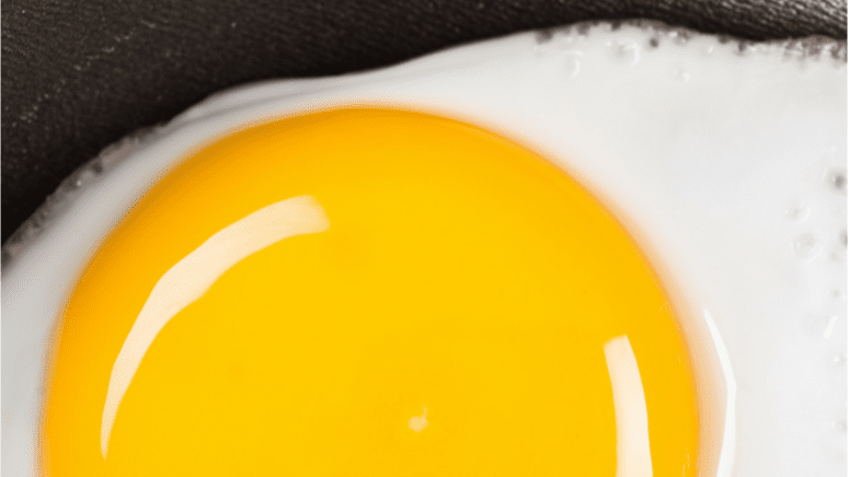 egg yolk