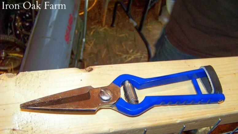 hoof shears iron oak farms