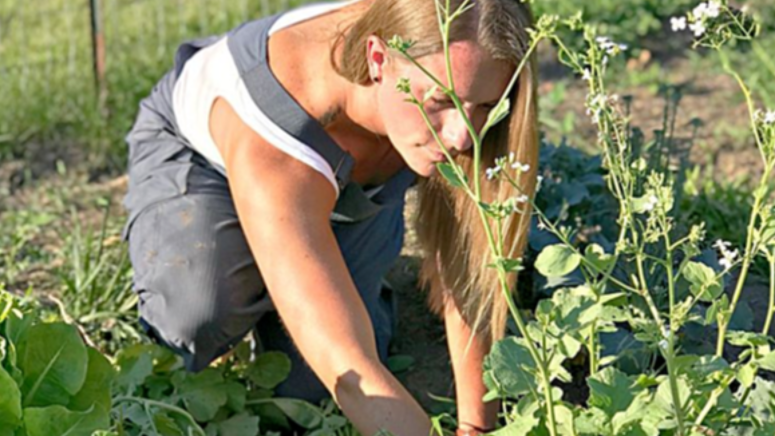 mandi gardening