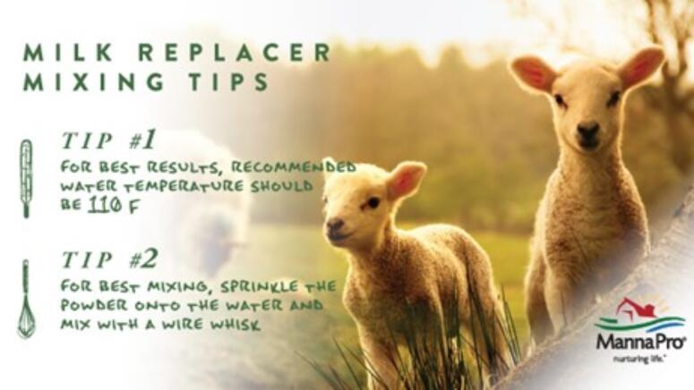 milk replacer tips