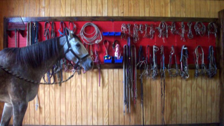 pegboard horse barn