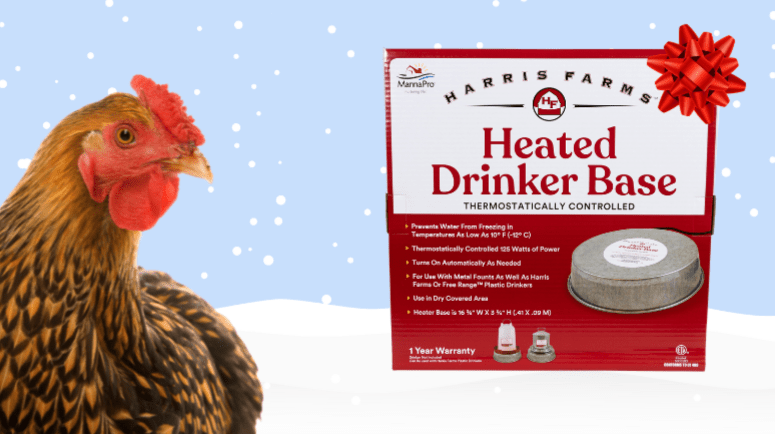 heated drinker base poultry